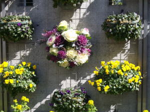 千葉市花の美術館の中庭